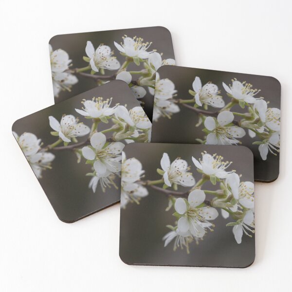 Item preview, Apricot blossom designed and sold by Calidris Fotografie Steffi & Ben Köppler.