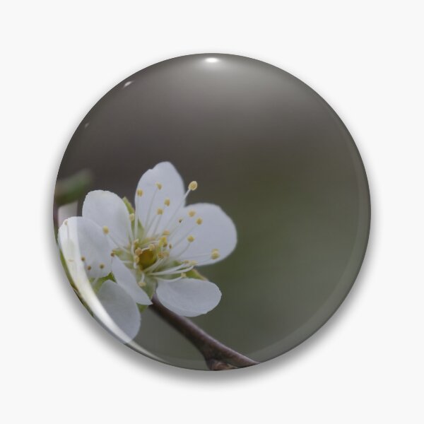 Item preview, Apricot blossom designed and sold by Calidris Fotografie Steffi & Ben Köppler.