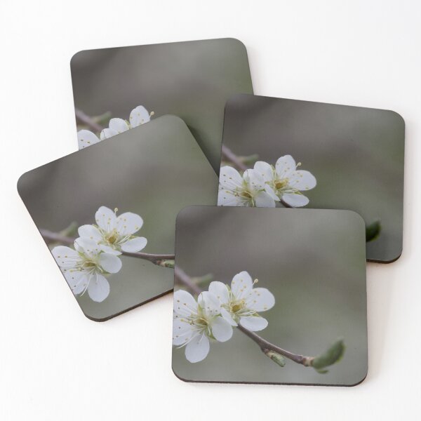 Item preview, Apricot blossom designed and sold by Calidris Fotografie Steffi & Ben Köppler.