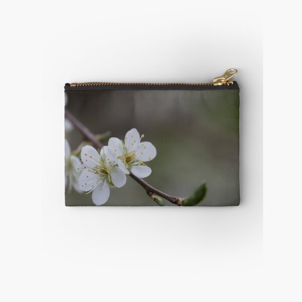 Item preview, Apricot blossom designed and sold by Calidris Fotografie Steffi & Ben Köppler.