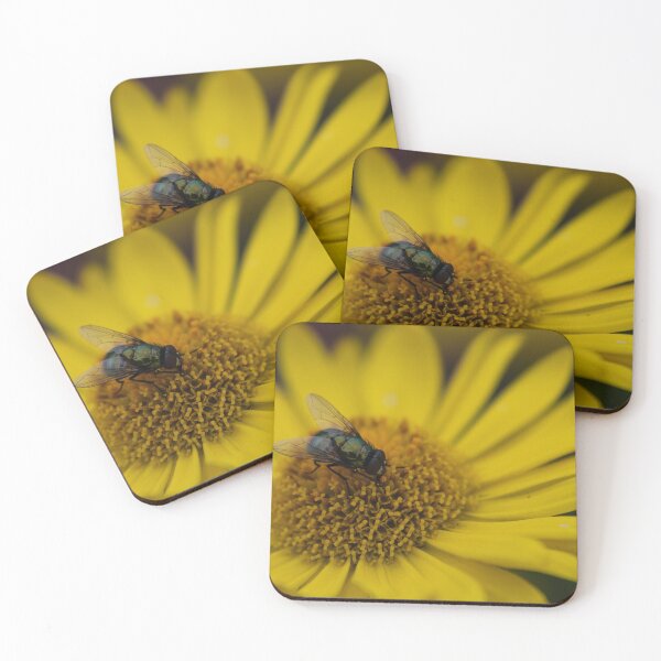 Item preview, Common green bottle fly on yellow flower designed and sold by Calidris Fotografie Steffi & Ben Köppler.