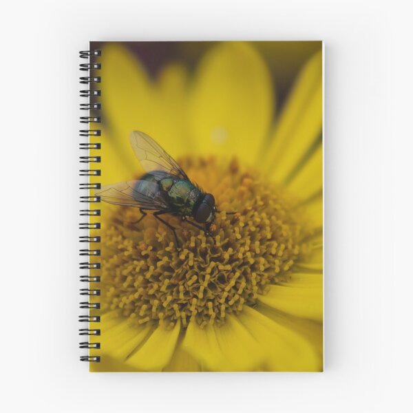 Item preview, Common green bottle fly on yellow flower designed and sold by Calidris Fotografie Steffi & Ben Köppler.