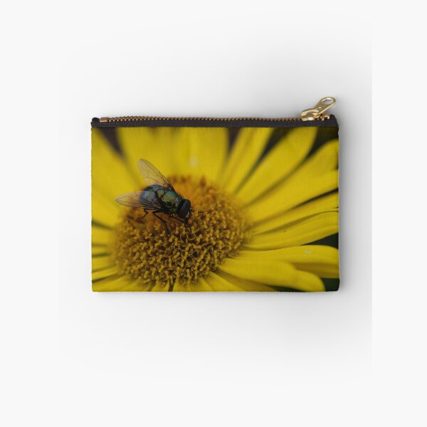 Item preview, Common green bottle fly on yellow flower designed and sold by Calidris Fotografie Steffi & Ben Köppler.