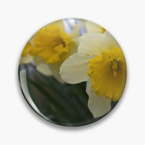 Item preview, Daffodils designed and sold by Calidris Fotografie Steffi & Ben Köppler.
