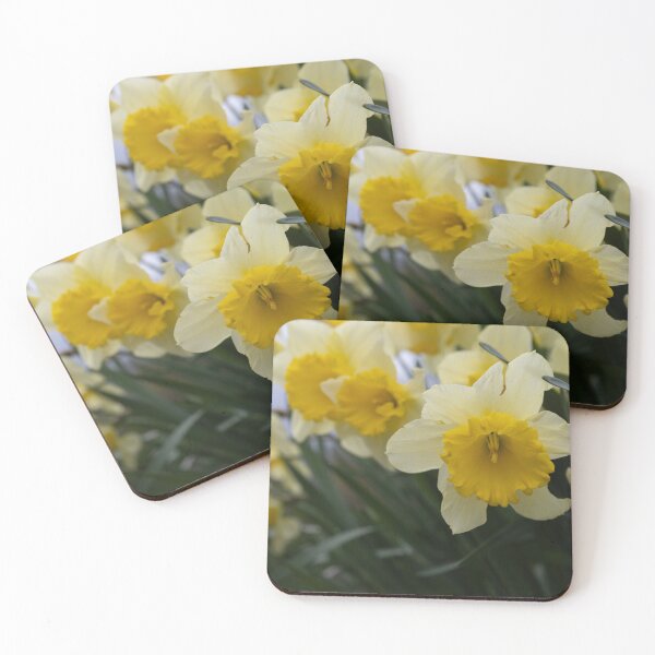 Item preview, Daffodils designed and sold by Calidris Fotografie Steffi & Ben Köppler.