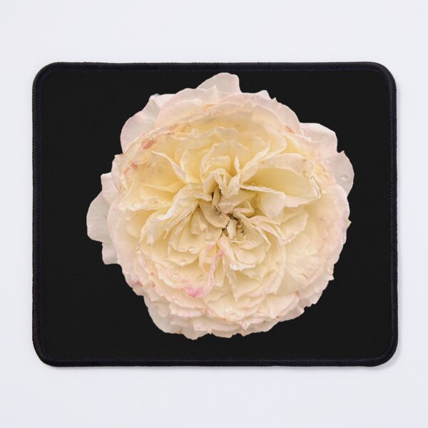 Item preview, Ruffles designed and sold by ascherf.