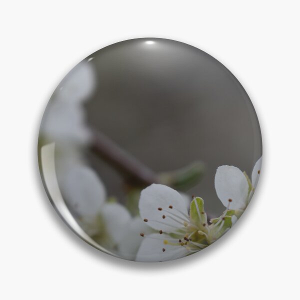 Item preview, Apricot blossom designed and sold by Calidris Fotografie Steffi & Ben Köppler.