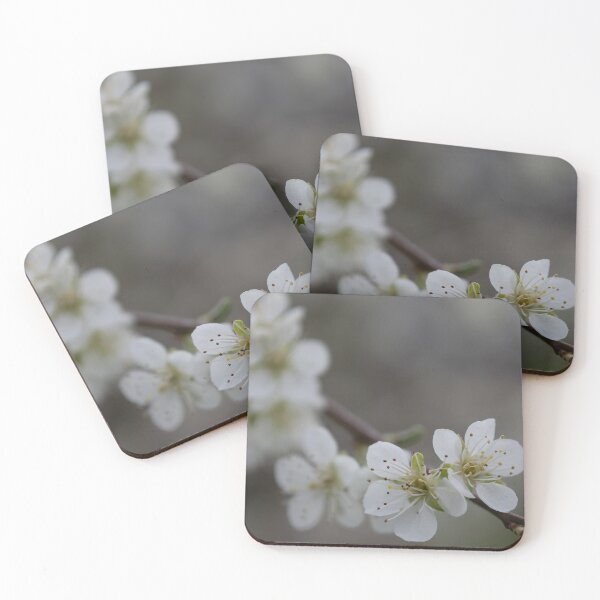 Item preview, Apricot blossom designed and sold by Calidris Fotografie Steffi & Ben Köppler.