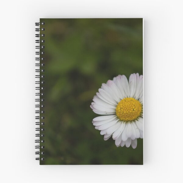Item preview, common daisy designed and sold by Calidris Fotografie Steffi & Ben Köppler.