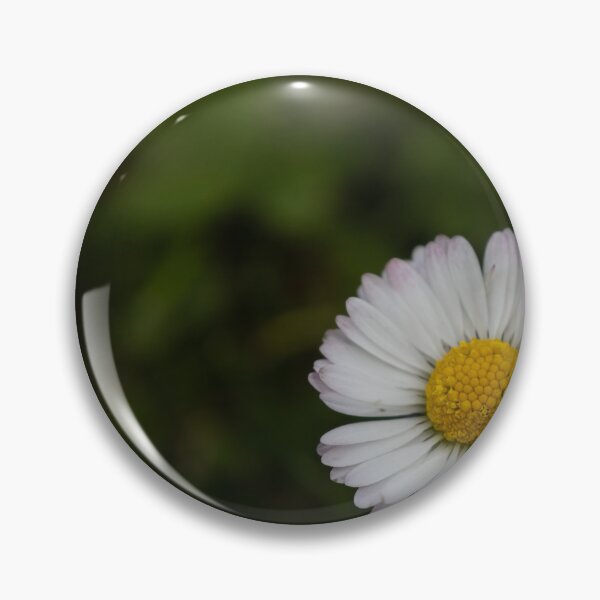 Item preview, common daisy designed and sold by Calidris Fotografie Steffi & Ben Köppler.