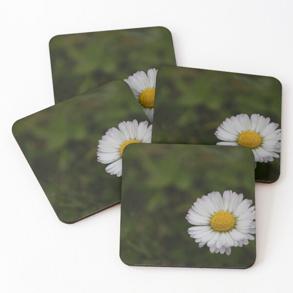 Item preview, common daisy designed and sold by Calidris Fotografie Steffi & Ben Köppler.