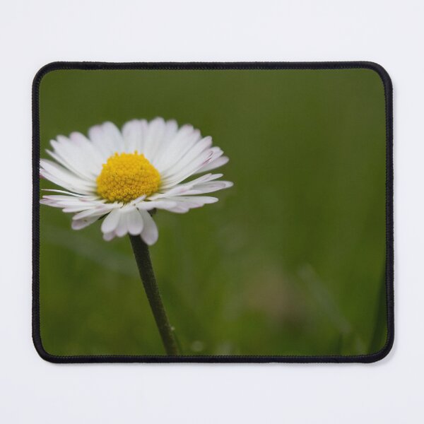 Item preview, Daisy designed and sold by Calidris Fotografie Steffi & Ben Köppler.
