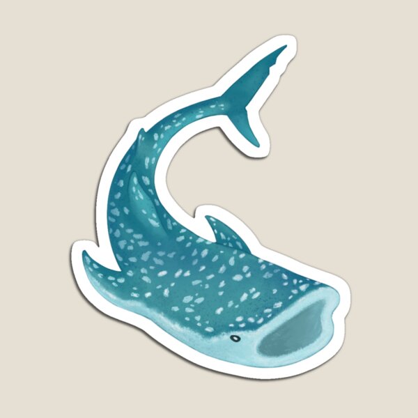Vista previa del artículo con la obra «Tiburón ballena Pegatina», diseñado y vendido por blackbrdquitter.