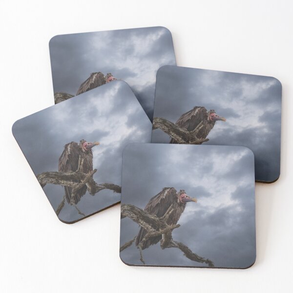 Item preview, Moody Vulture designed and sold by MyAfricanSafari.