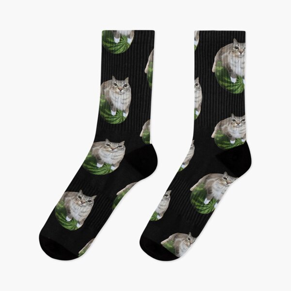 Item preview, Watermelon Cat Silly Cat Meme designed and sold by FloraPlantTees.