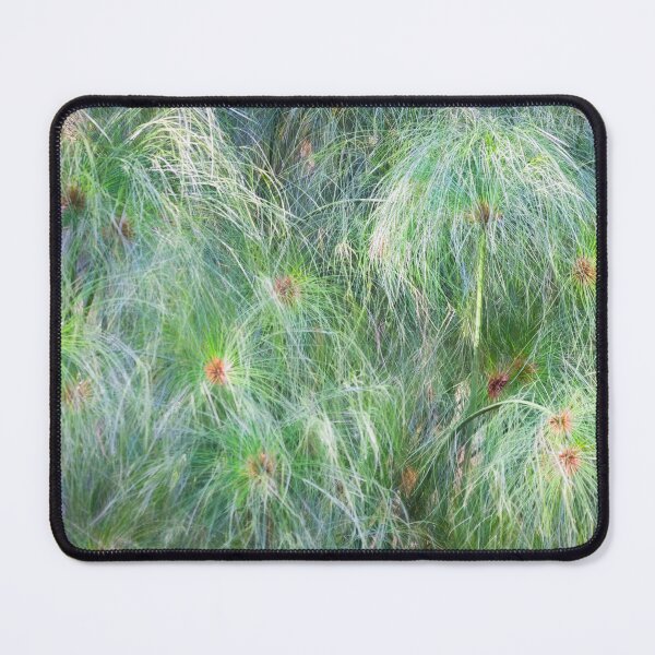 Item preview, Green Papyrus Leaves Abstract X100 designed and sold by RichFrancoCars.