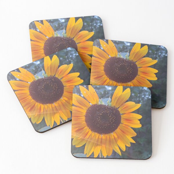 Item preview, Sunflower Highlight designed and sold by LaurenMachuga.