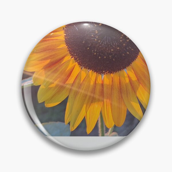 Artikelvorschau, Sonnenblumen-Highlight entworfen und verkauft von LaurenMachuga.