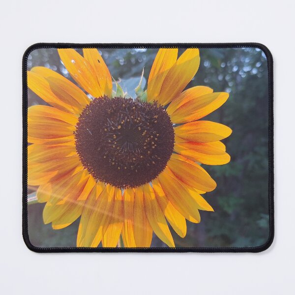 Item preview, Sunflower Highlight designed and sold by LaurenMachuga.