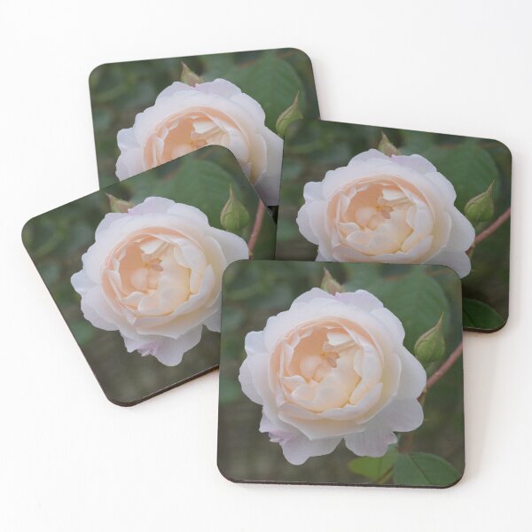 Item preview, Desdemona rose  designed and sold by CatherineMoore4.