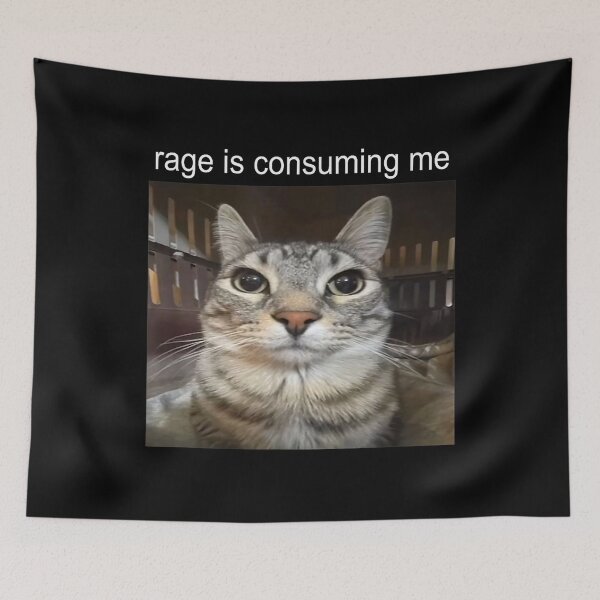 Item preview, Rage Is Consuming Me Silly Staring Cat Meme designed and sold by FloraPlantTees.
