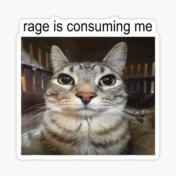 Artikel-Vorschau von Die Wut verzehrt mich. Dummes, starrendes Katzen-Meme, designt und verkauft von FloraPlantTees.