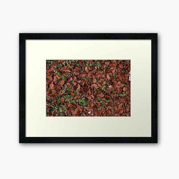 Natures Carpet Framed Art Print