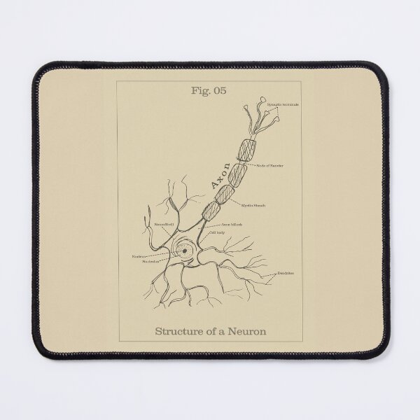 Item preview, Structure of a Neuron - Vintage textbook figure designed and sold by MicroMarket.