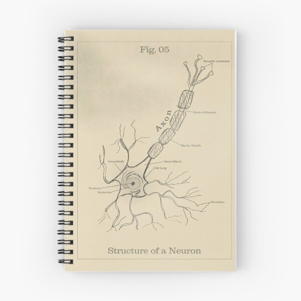Item preview, Estructura de una neurona - Figura de libro de texto vintage designed and sold by MicroMarket.