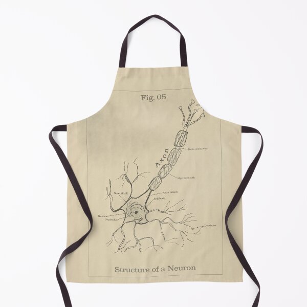 Item preview, Structure of a Neuron - Vintage textbook figure designed and sold by MicroMarket.