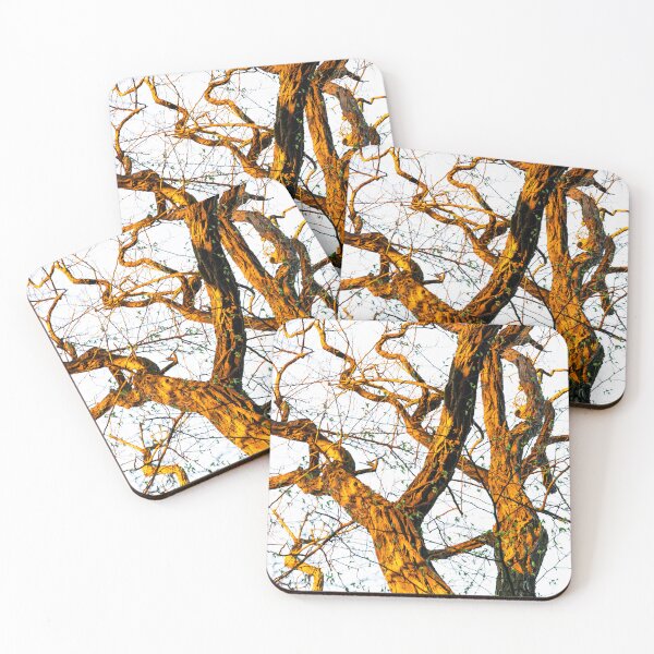 Item preview, Golden Hour, sunset, Trees designed and sold by Floralartwork.