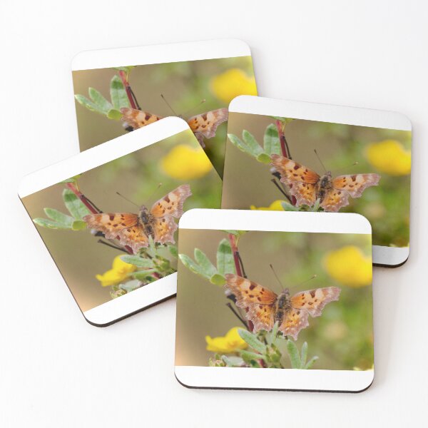 Item preview, Polygonia in the sun designed and sold by HighdesertArt.