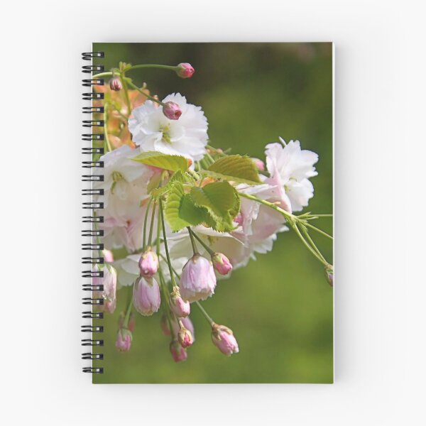 Item preview, Blossom Japanese Cherry designed and sold by Jo Nijenhuis.