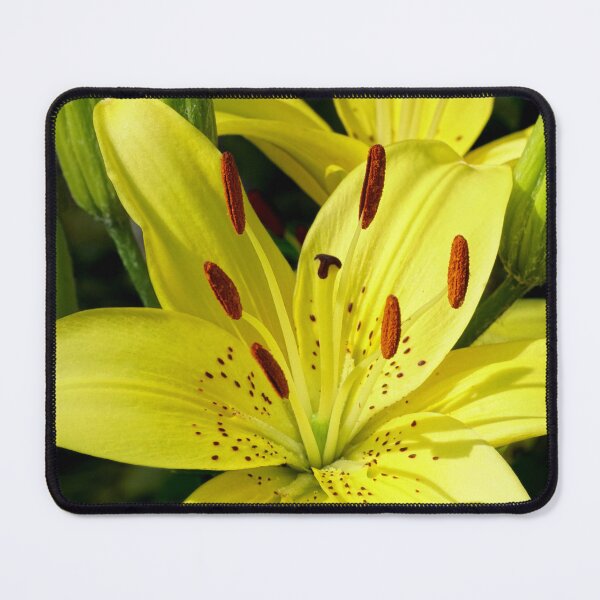 Item preview, Lively Lilies designed and sold by Kathilee.