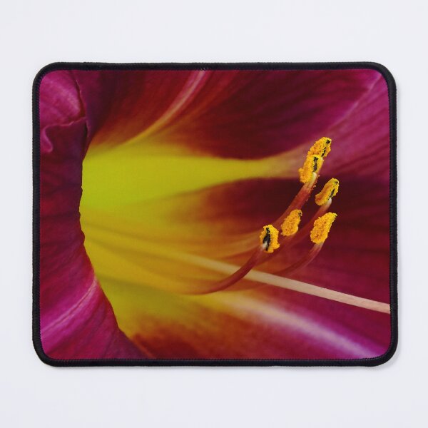 Item preview, Ooh La La designed and sold by Kathilee.