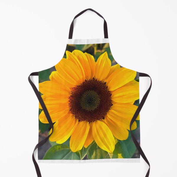 Item preview, Sunflower in Gyeongju, South Korea | Beautiful Flower Photography designed and sold by YemmyZImages.