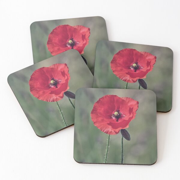 Item preview, Solitary Poppy designed and sold by Tom McPherson Photography.