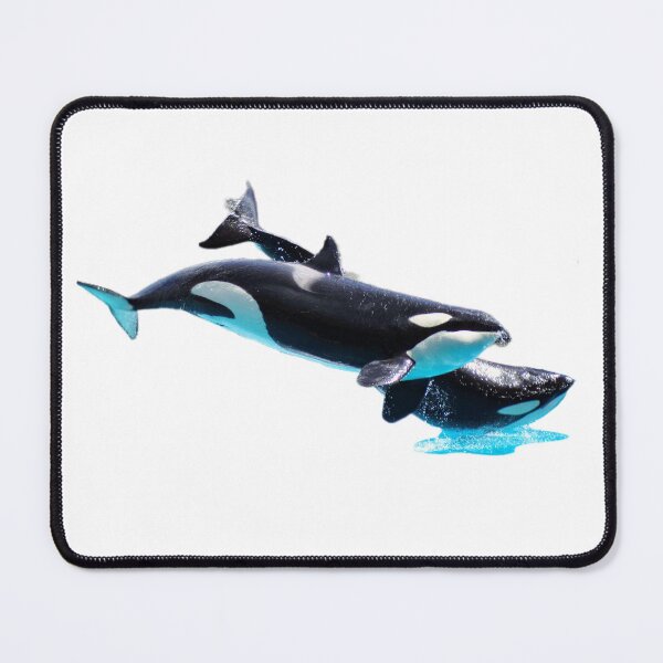 Item preview, Malia and Nalani orcas breaching  designed and sold by Sugargrim3.