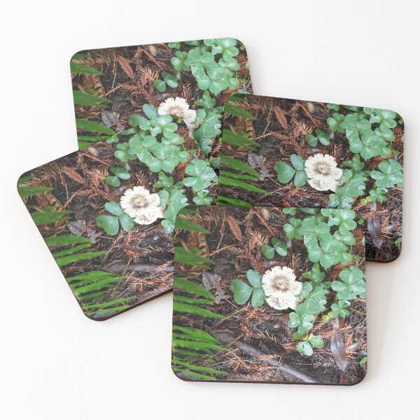 Item preview, Mushroom along trail among Redwoods designed and sold by HeartisticSoul.