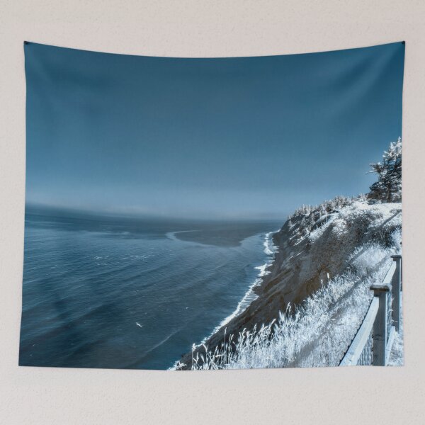 Artikelvorschau, Infrared photo of PNW coastline print 2 entworfen und verkauft von Cblifeisgood.