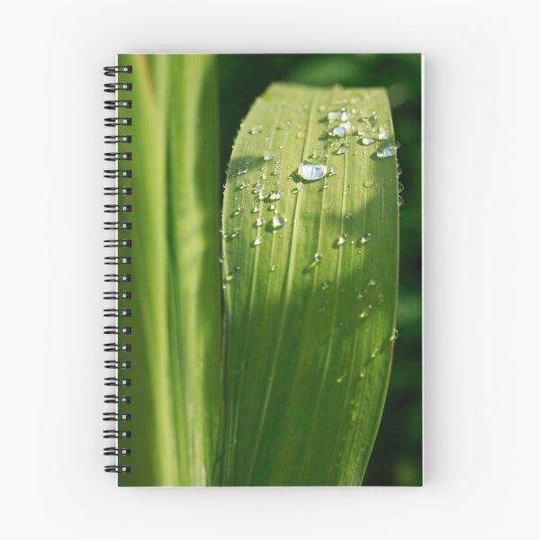 Item preview, Raindrops designed and sold by Gaspar Avila.