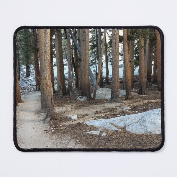 Item preview, Whitney trail woods west of Lone Pine Lake designed and sold by Imthenats Photography and Art.