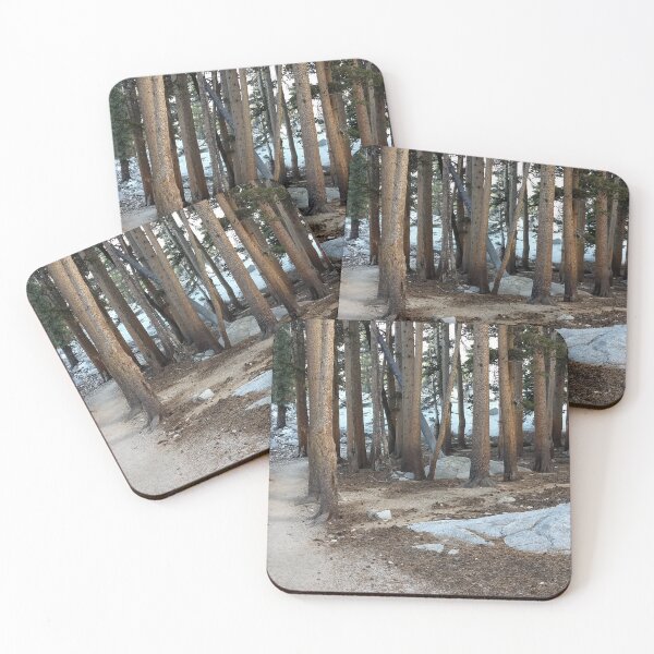 Item preview, Whitney trail woods west of Lone Pine Lake designed and sold by Imthenats Photography and Art.