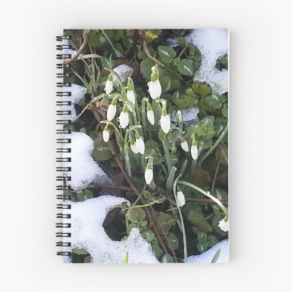 Item preview, Early snowdrops designed and sold by keithmilligan.
