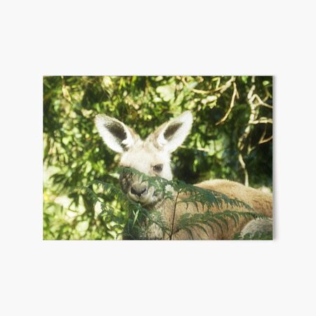 Item preview, *Who is that there !!* Hall's Gap - Vic. Australia* designed and sold by EdsMum.