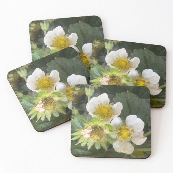 Item preview, Strawberry Flowers designed and sold by Betsy Phillips.