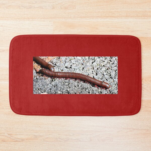 Item preview, American Giant Millipede  designed and sold by rsandstedt5386.
