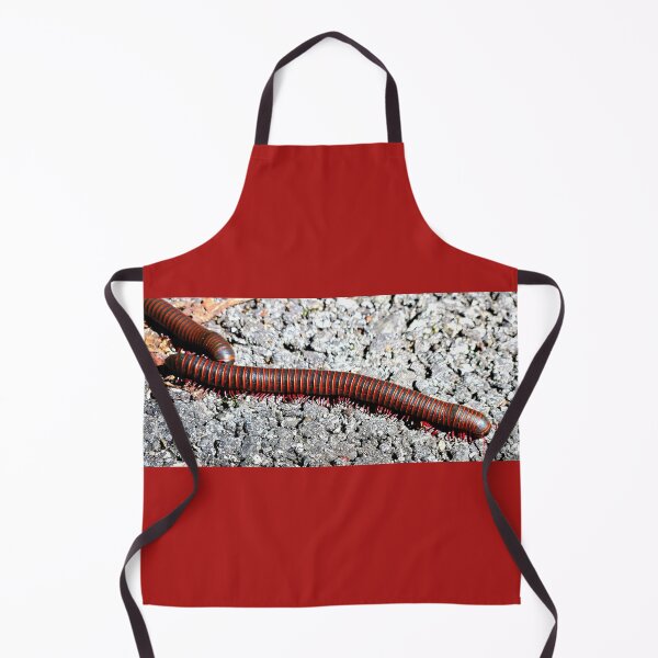Item preview, American Giant Millipede designed and sold by rsandstedt5386.