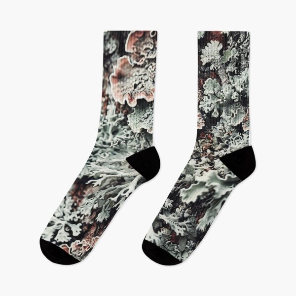 Item preview, Eternal symbiosis of mosses, lichens, nature photos designed and sold by DotLineColor.