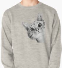 Sudadera cerrada gato furtivo
